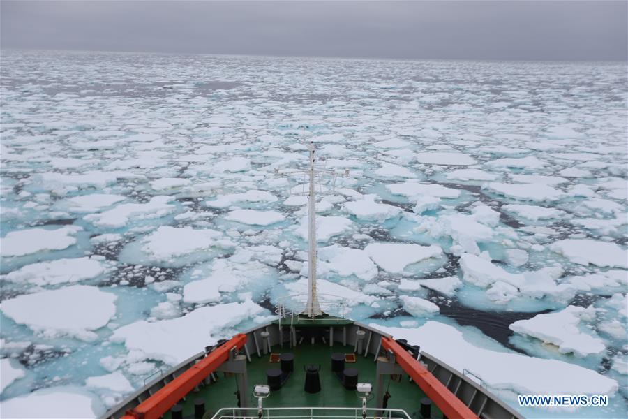 XINHUA PHOTO WEEKLY CHOICES