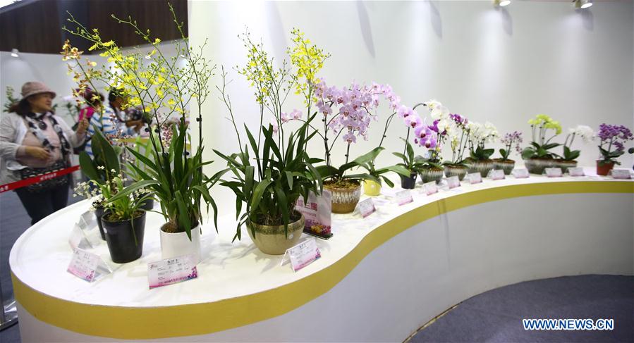 #CHINA-SANYA-INTERNATIONAL ORCHID SHOW (CN)