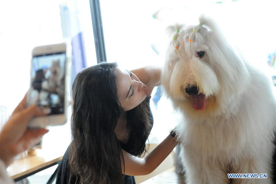 THAILAND-BANGKOK-DOG CAFE