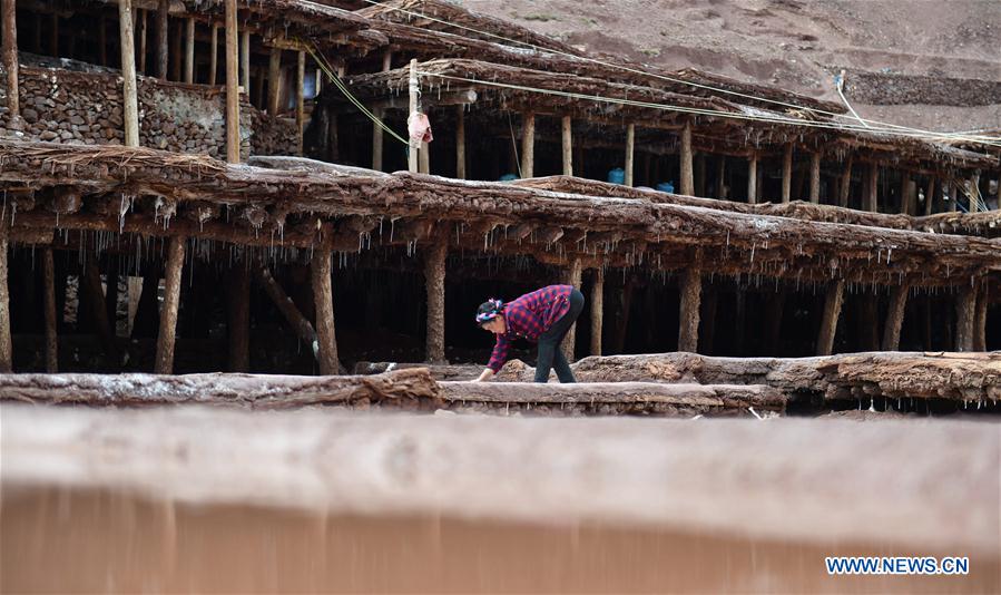 CHINA-TIBET-SALT HARVEST (CN)