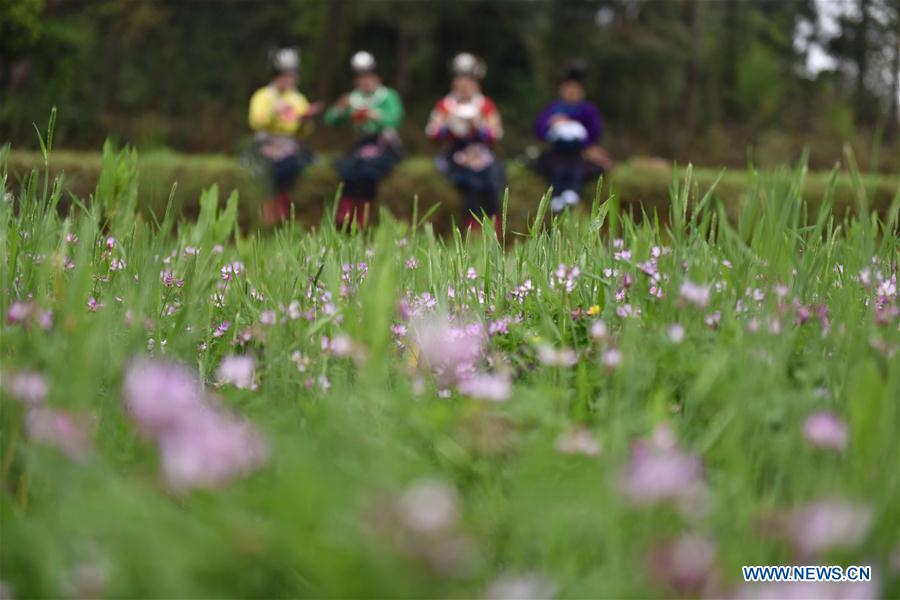 #CHINA-SPRING-SCENERY(CN)