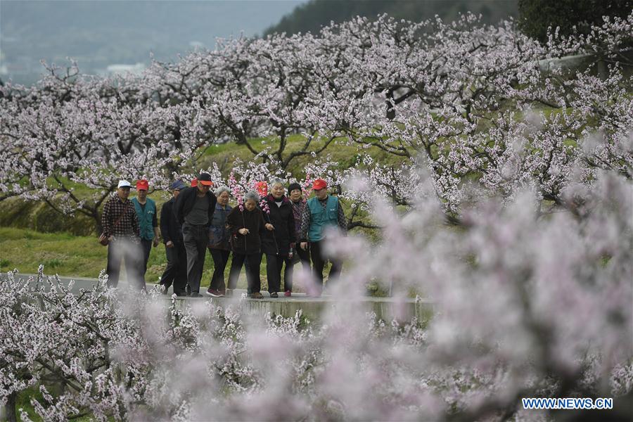 CHINA-NINGBO-SPRING-ACTIVITY (CN)