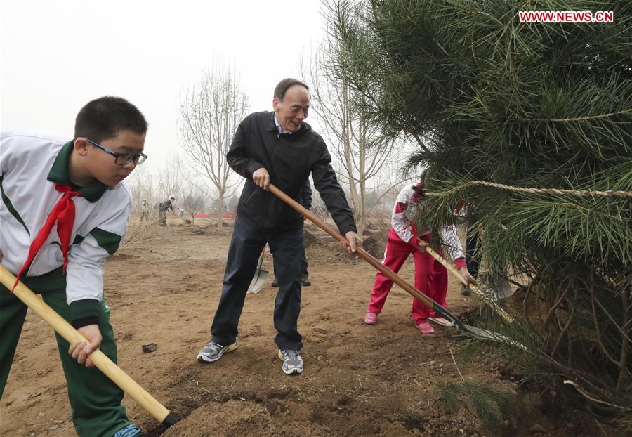 CHINA-BEIJING-LEADERS-TREE PLANTING (CN)