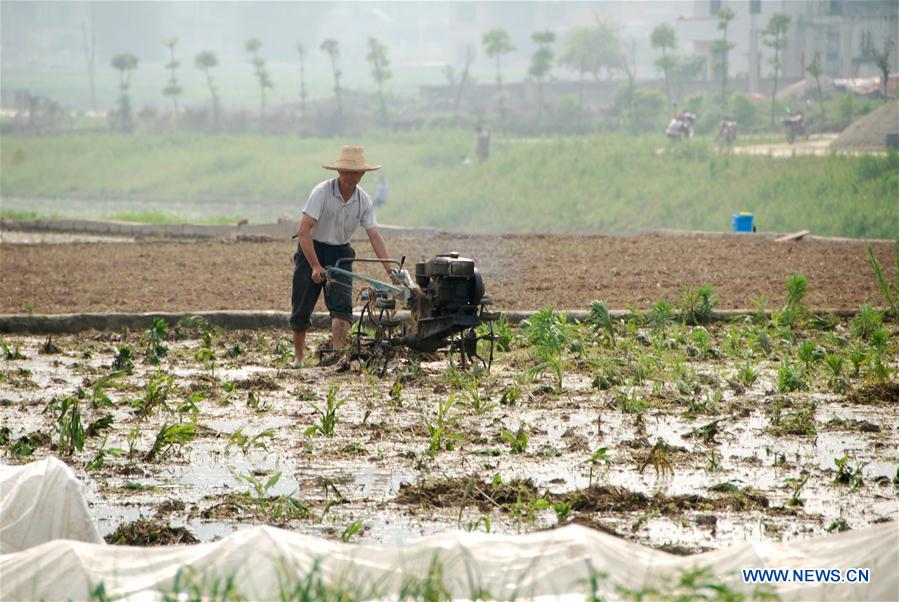 #CHINA-SPRING-FARM WORK (CN)