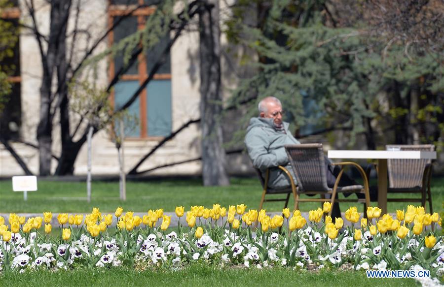 TURKEY-ANKARA-TULIP-BLOOM