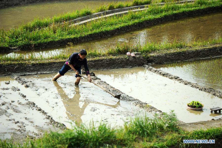 CHINA-GUYU-FARM WORK(CN)