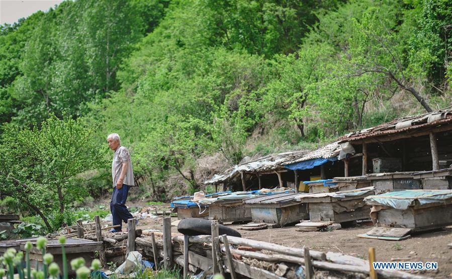 CHINA-JILIN-POVERTY ALLEVIATION-BEEKEEPING (CN)