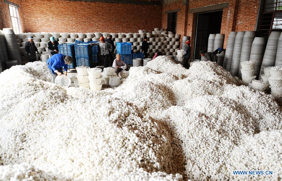 #CHINA-JIANGSU-SILK INDUSTRY (CN)