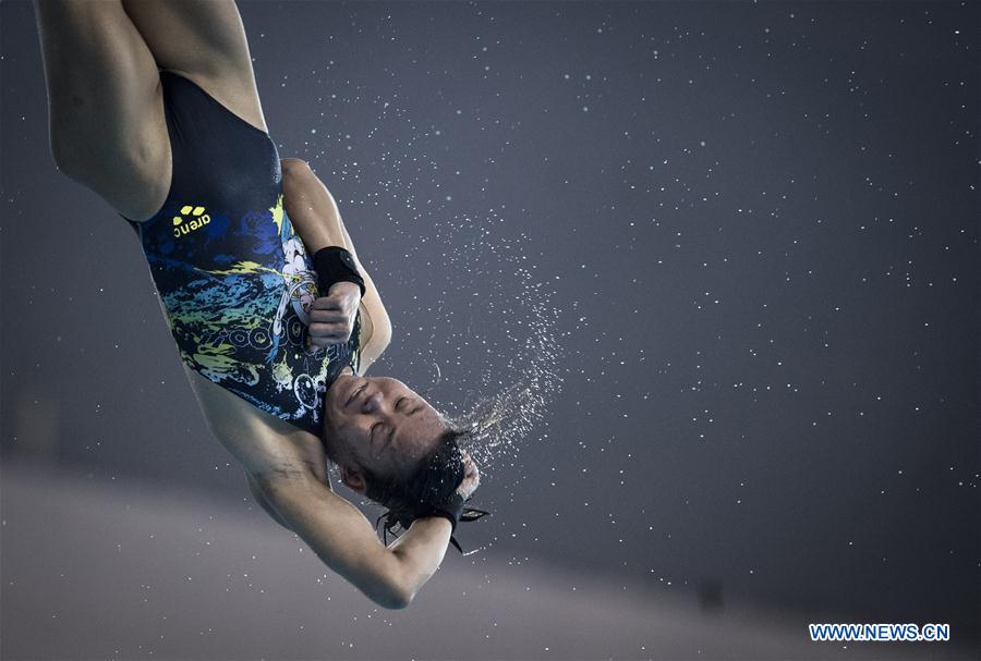 (SP)CHINA-WUHAN-DIVING-FINA-WORLD CUP (CN)