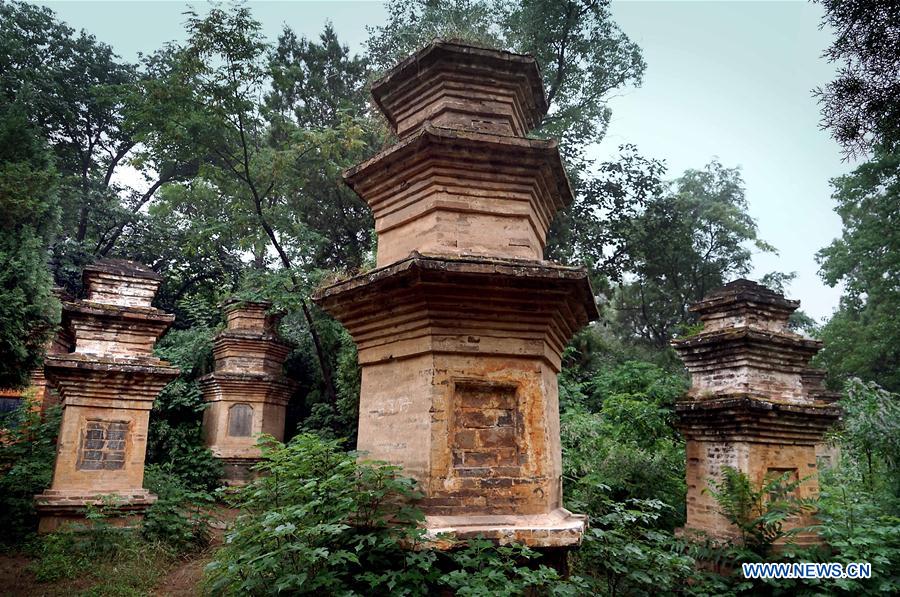 CHINA-HENAN-PAGODA (CN)