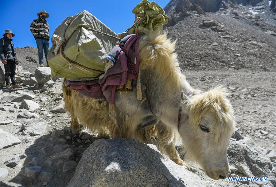 CHINA-TIBET-GANGSHA VILLAGE-TOURISM (CN)