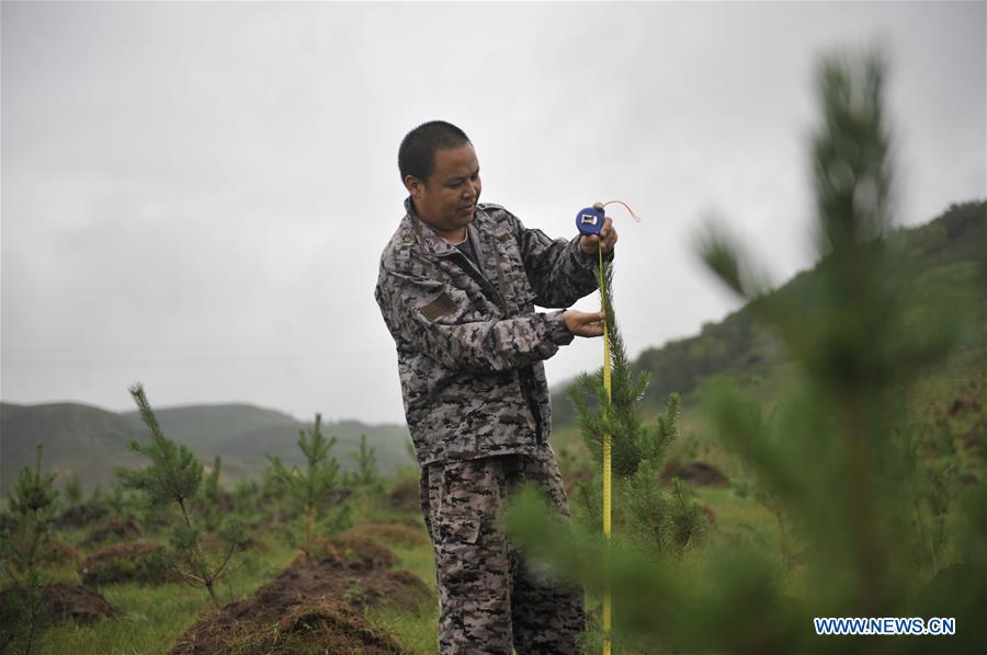 #CHINA-HEBEI-FENGNING-AFFORESTATION (CN)