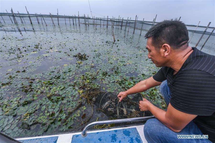 CHINA-ZHEJIANG-HUZHOU-TAIHU LAKE-CRAB (CN)