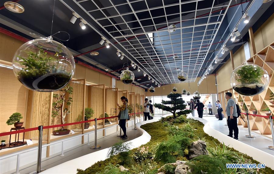 #CHINA-JIANGSU-YANGZHOU-HORTICULTURAL EXPO (CN)