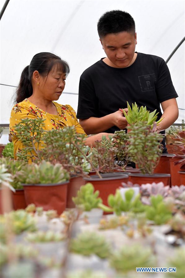 CHINA-JIANGXI-SUCCULENT PLANTS (CN)