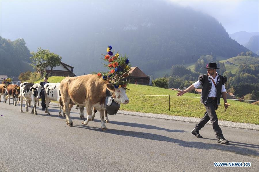 SWITZERLAND-CHARMEY-DESALPE-FESTIVAL