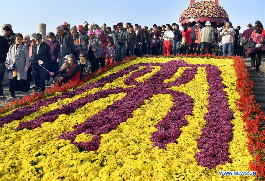 CHINA-HENAN-KAIFENG-CHRYSANTHEMUM (CN)