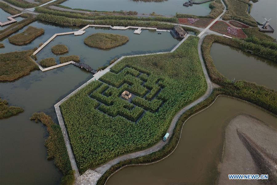 CHINA-NINGBO-HANGZHOU BAY-WETLAND-AUTUMN SCENERY(CN)