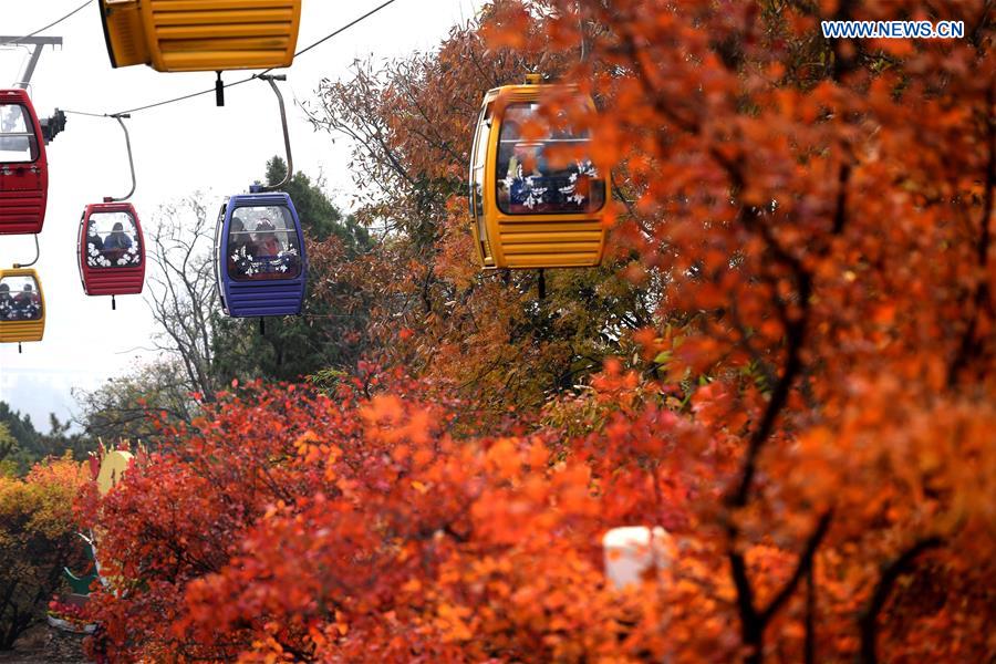 CHINA-BEIJING-BADACHU-AUTUMN SCENERY(CN)