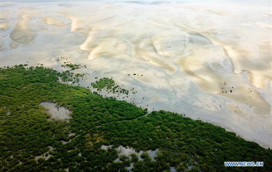 CHINA-GUANGXI-BEIHAI-MANGROVE CONSERVATION AREA(CN)