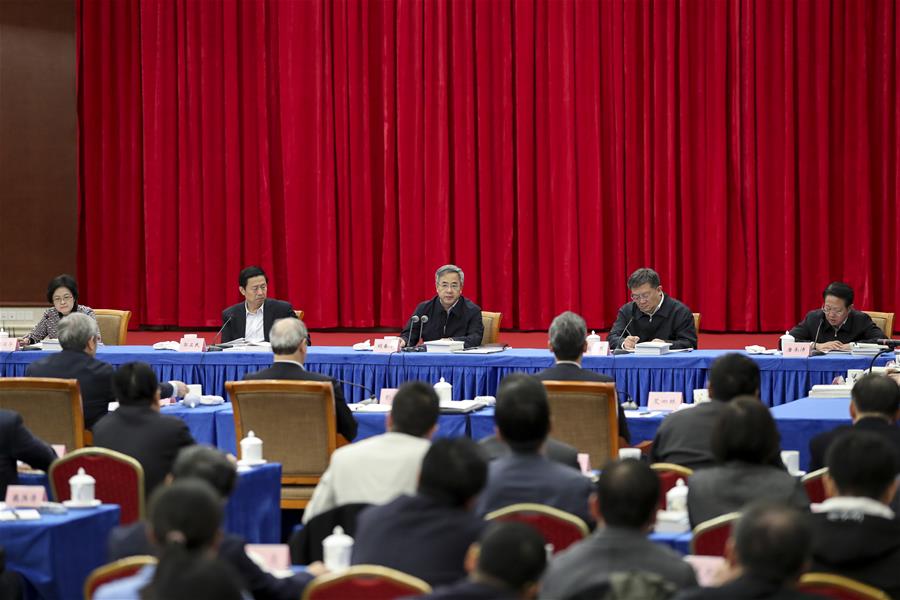 CHINA-BEIJING-HU CHUNHUA-SYMPOSIUM-SPEECH (CN)