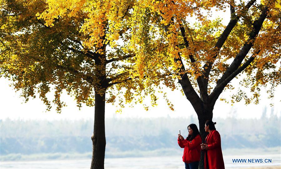 #CHINA-AUTUMN-SCENERY-LEAVES (CN)