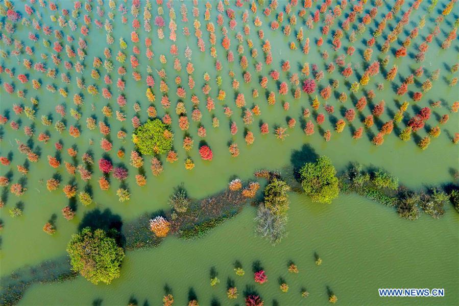 #CHINA-ANHUI-AUTUMN VIEWS (CN)