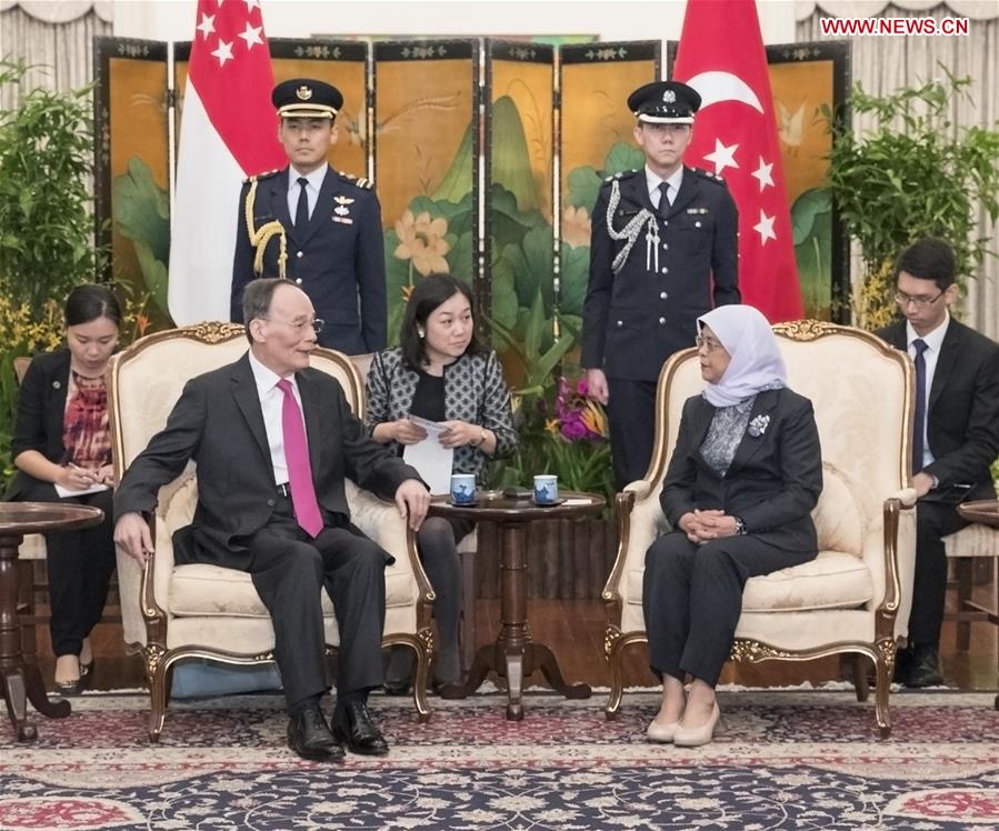 SINGAPORE-CHINA-WANG QISHAN-MEETING