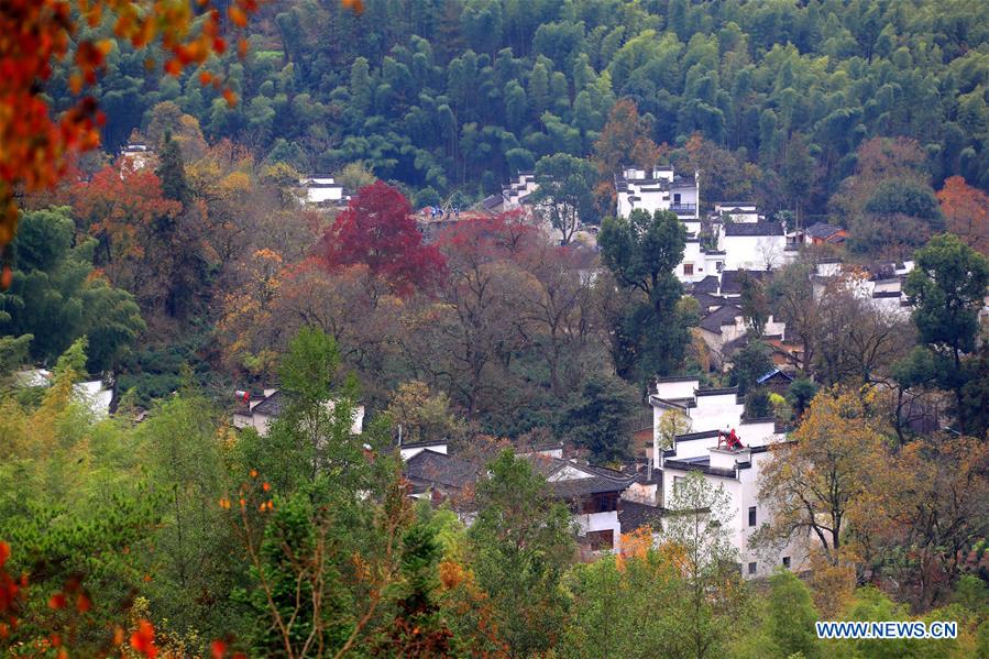 #CHINA-ANHUI-RURAL SCENERY (CN)