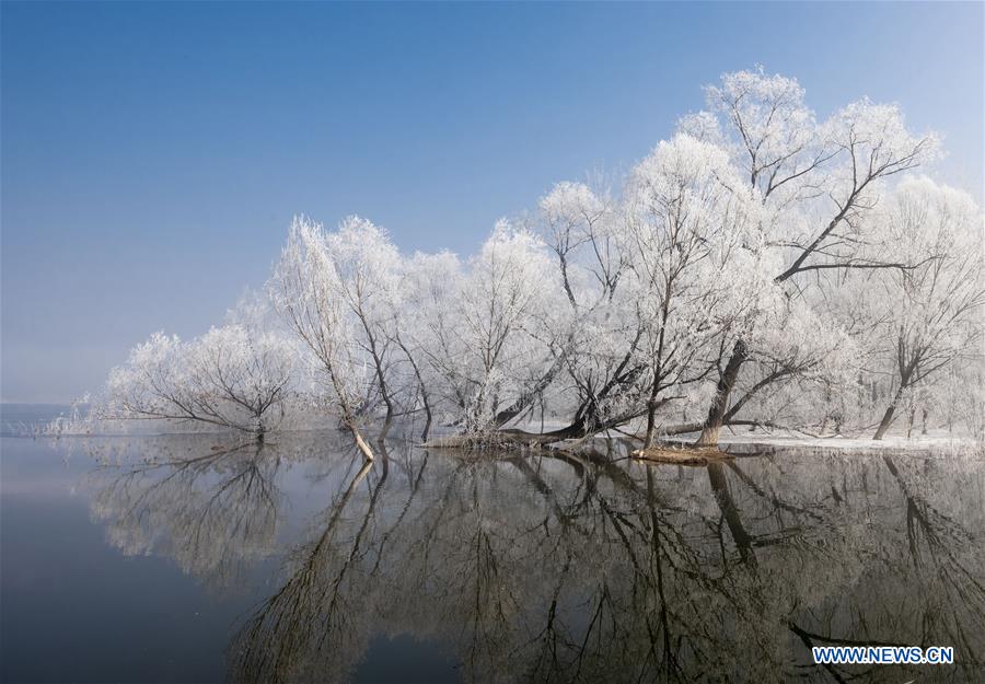 #CHINA-TIANJIN-FROST (CN)