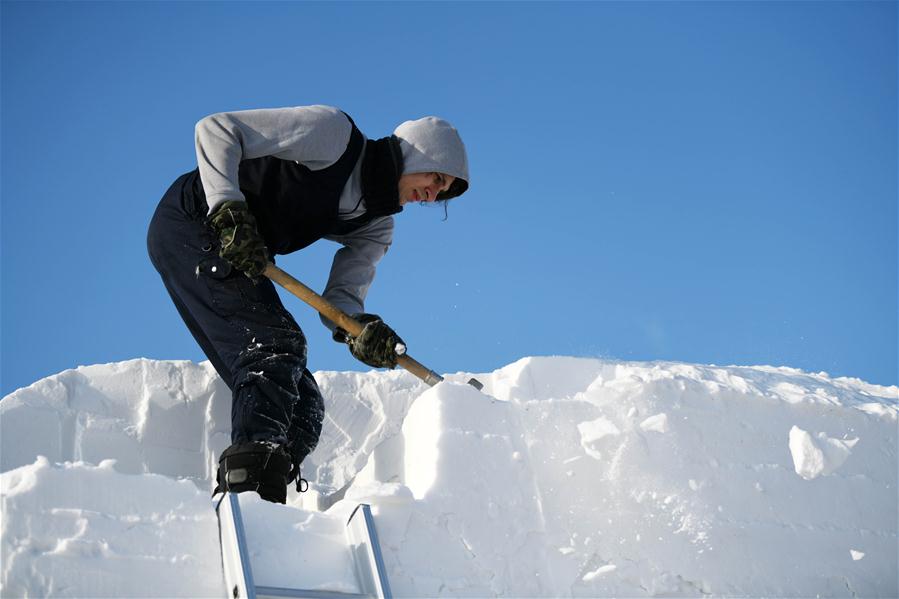 CHINA-HEILONGJIANG-HARBIN-ART ELITE-SNOW SCULPTURE COMPETITION (CN)