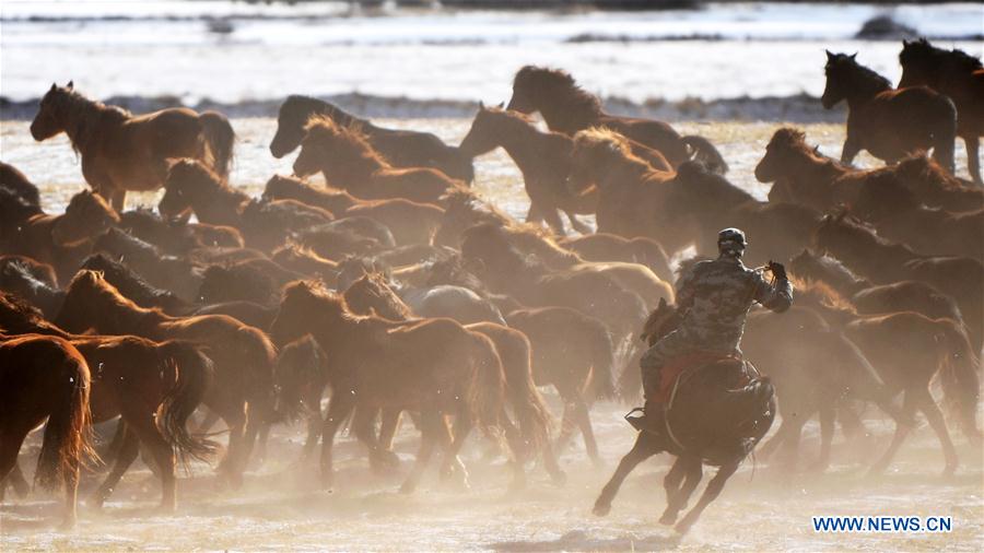 CHINA-GANSU-SHANDAN RANCH-HORSE (CN)