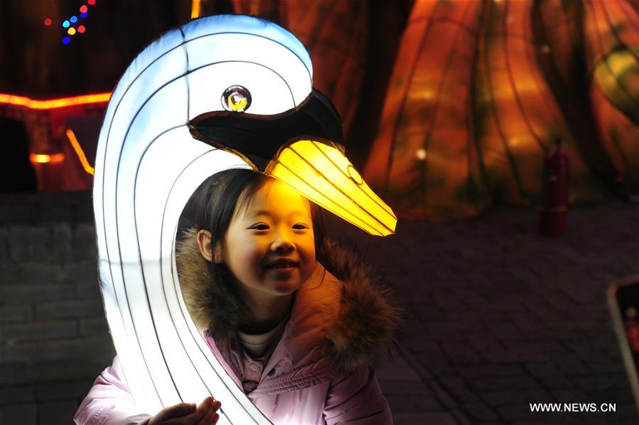 CHINA-HENAN-LANTERN FAIR (CN)