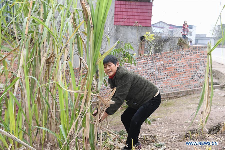 CHINA-FUZHOU-SPRING FESTIVAL-FAMILY REUNION (CN)