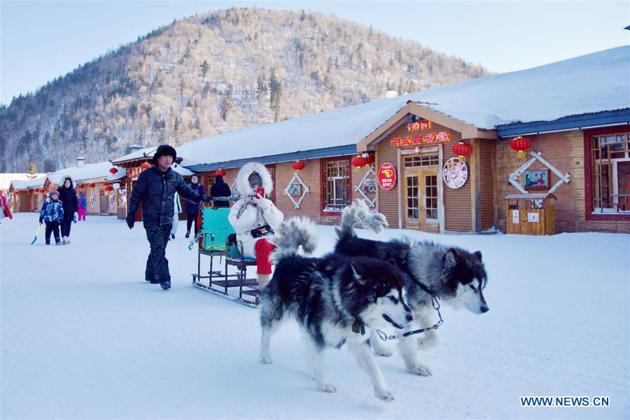 CHINA-HEILONGJIANG-SNOW SCENERY (CN)