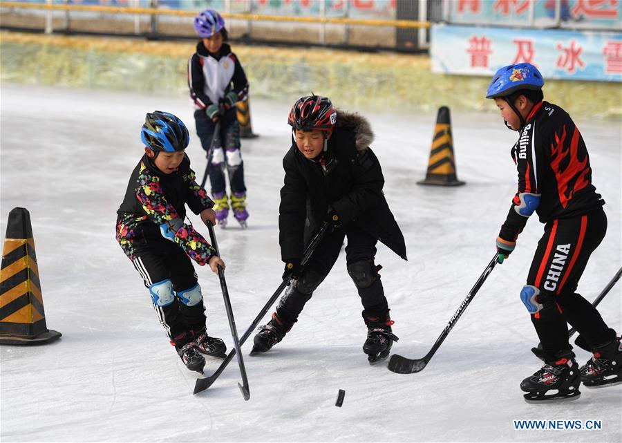 (SP)CHINA-BEIJING-YANQING-PRIMARY SCHOOL STUDENTS-SKATING(CN)