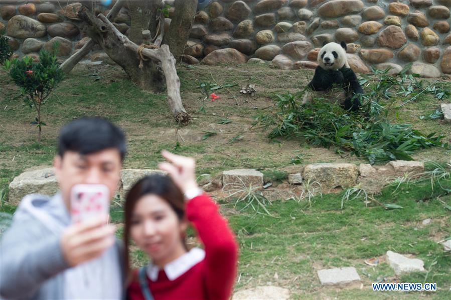 CHINA-MACAO-SPRING FESTIVAL-PANDA PAVILION (CN)