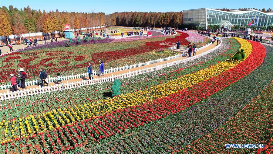 CHINA-KUNMING-TULIP FLOWERS (CN)