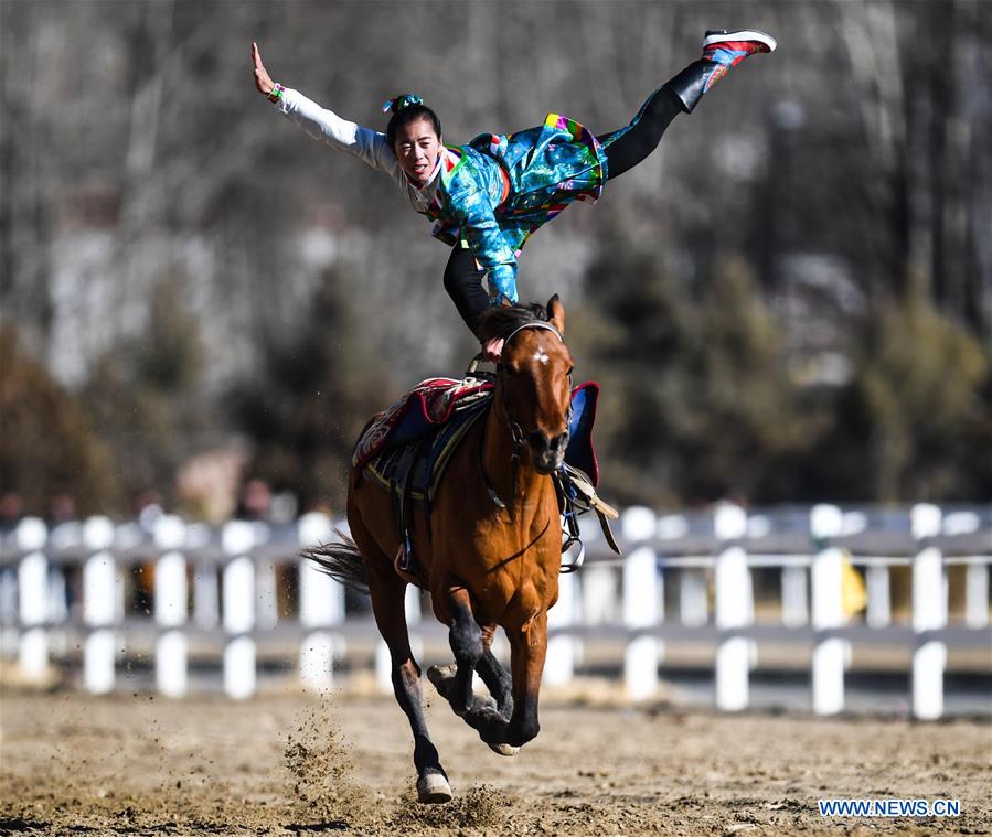 (InTibet) CHINA-TIBET-HORSE (CN)