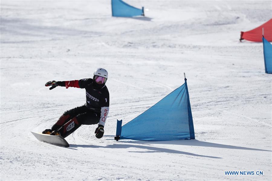 (SP)CHINA-ZHANGJIAKOU-SNOWBOARD-ASIAN CUP(CN)