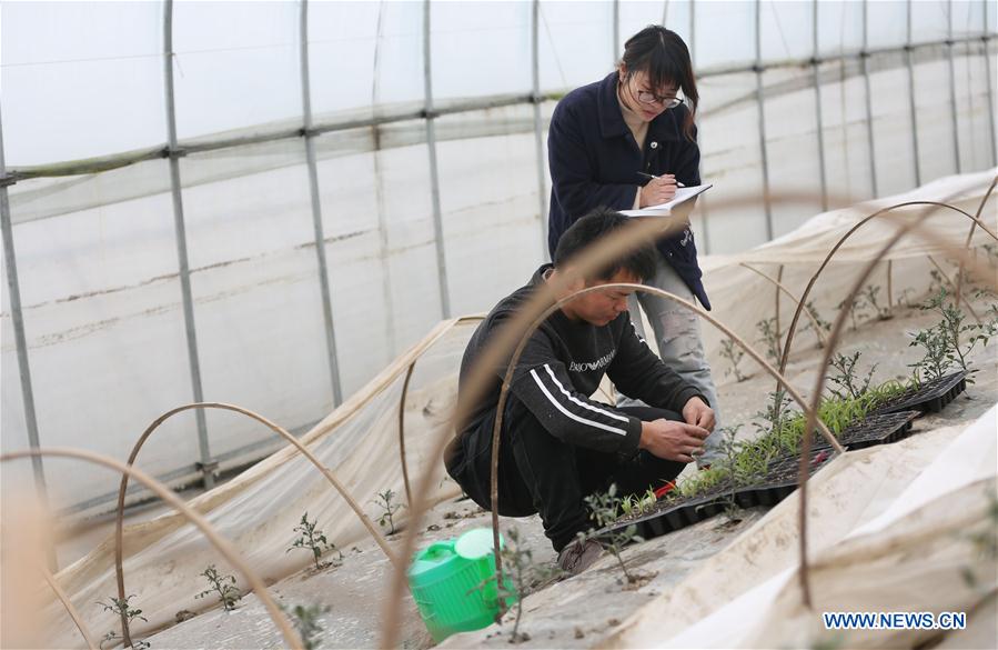 CHINA-JIANGSU-HIGHLY EDUCATED COUPLE-FARMING BUSINESS (CN)