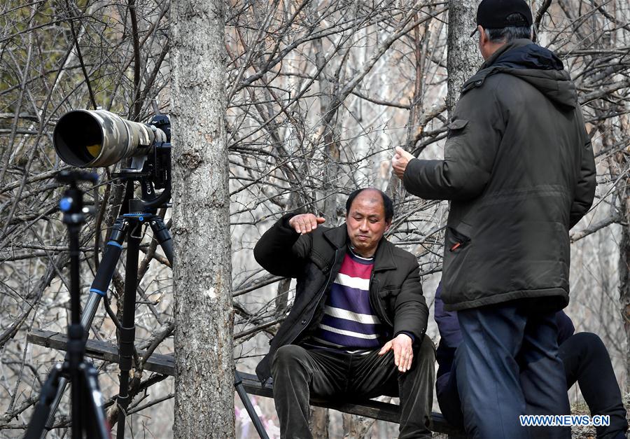 CHINA-HENAN-WILD BIRDS-PROTECTION (CN)