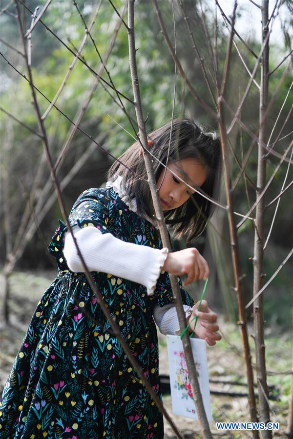 CHINA-HANGZHOU-ARBOR DAY-TREE PLANTING (CN)