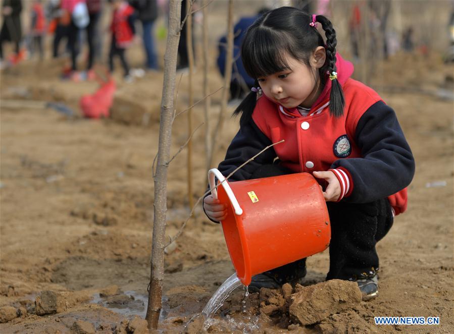 CHINA-HEBEI-ARBOR DAY-TREE PLANTING (CN)