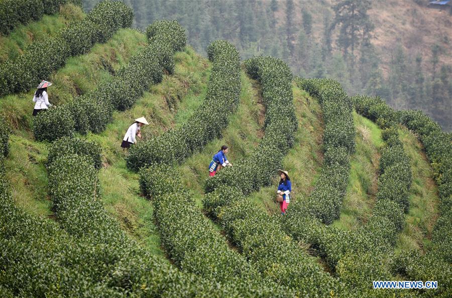 XINHUA PHOTOS OF THE DAY