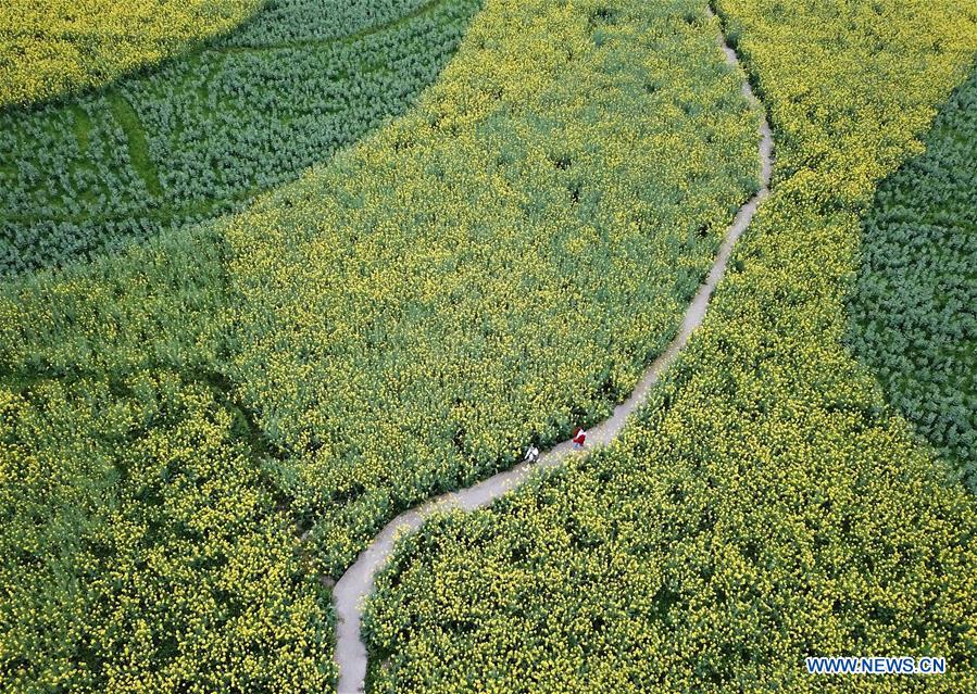 CHINA-GUIZHOU-ANSHUN-SPRING (CN)