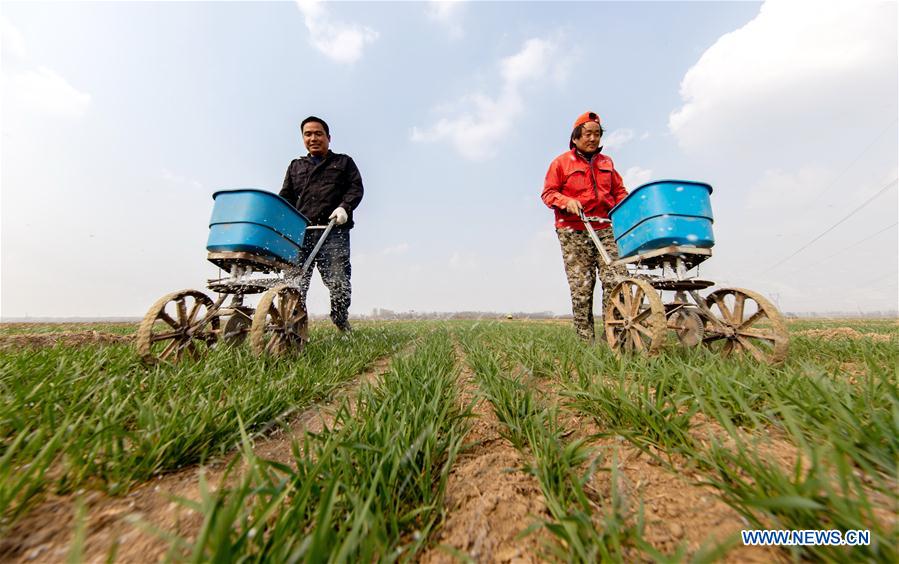 CHINA-SPRING-FARM WORK (CN)