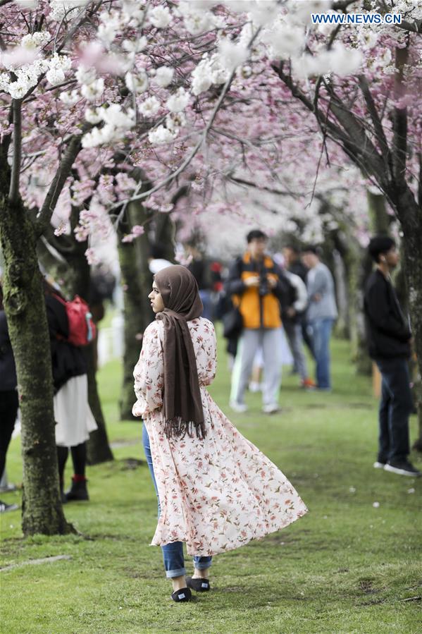 U.S.-NEW YORK-CHERRY BLOSSOM FESTIVAL