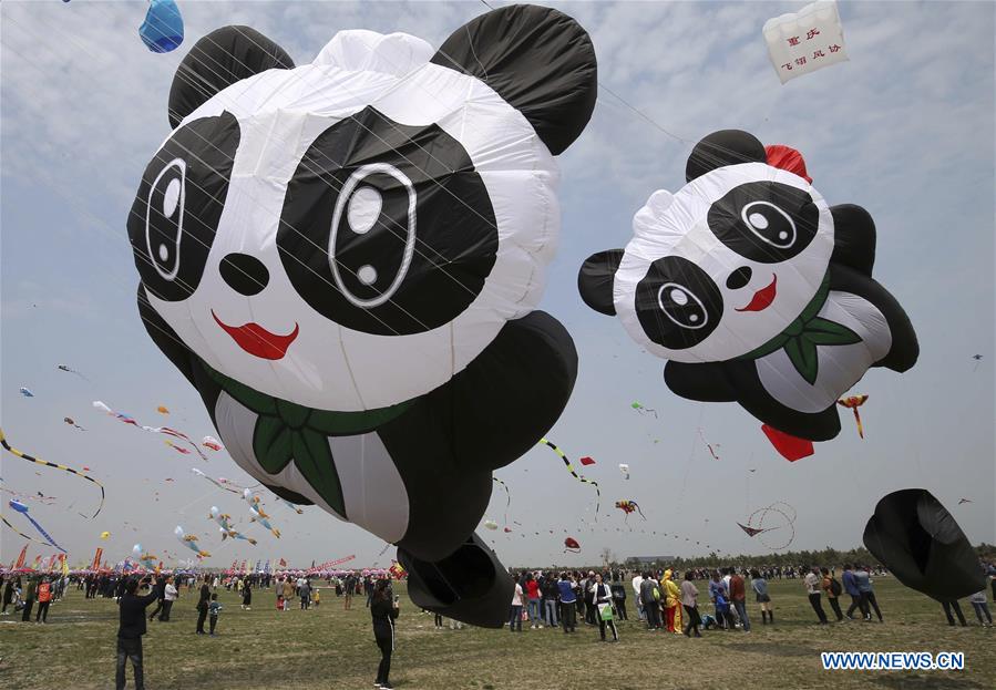 #CHINA-SHANDONG-WEIFANG-KITE FESTIVAL (CN)