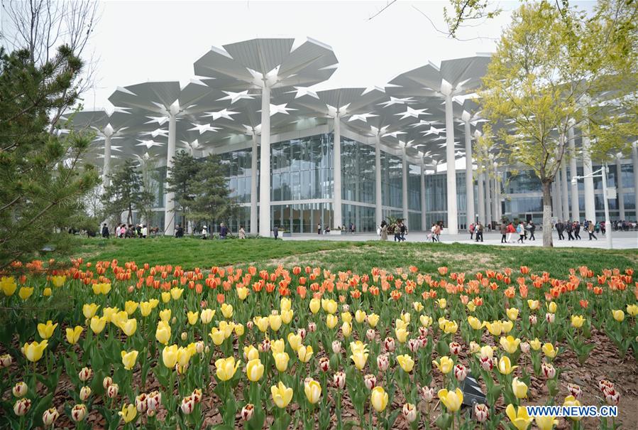 (EXPO 2019)CHINA-BEIJING-HORTICULTURAL EXPO-OPENING TO PUBLIC (CN)